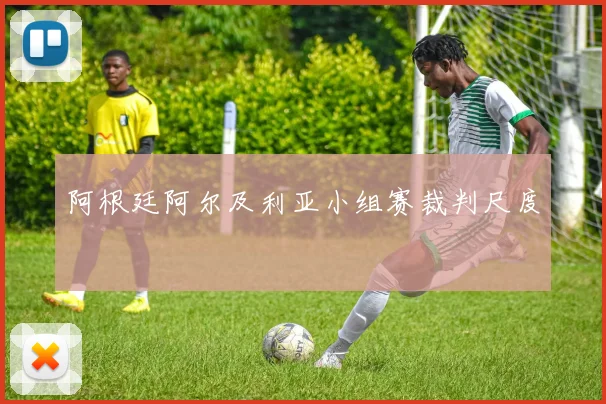 阿根廷阿尔及利亚小组赛裁判尺度