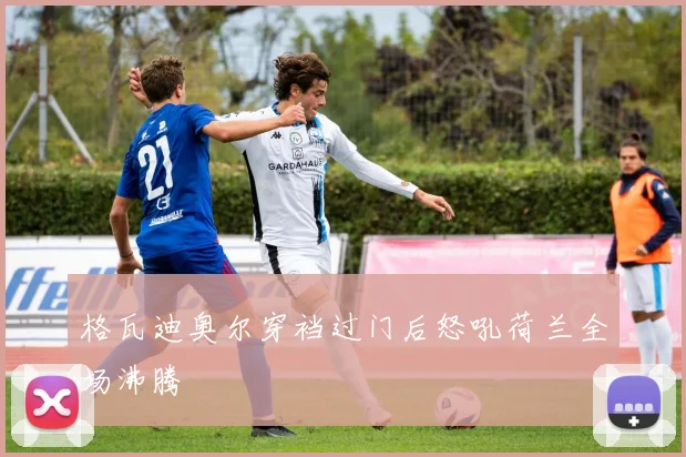 格瓦迪奥尔穿裆过门后怒吼荷兰全场沸腾