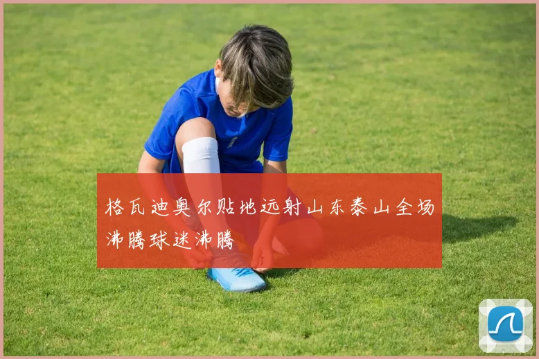 格瓦迪奥尔贴地远射山东泰山全场沸腾球迷沸腾