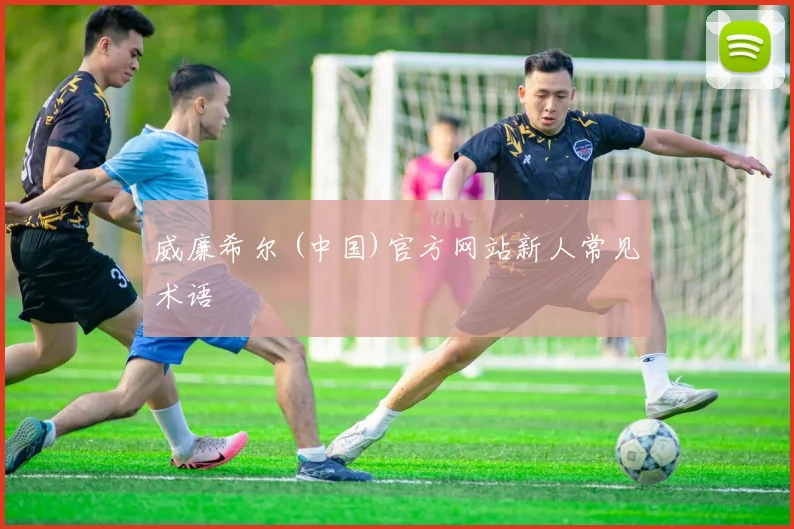 威廉希尔 (中国)官方网站新人常见术语