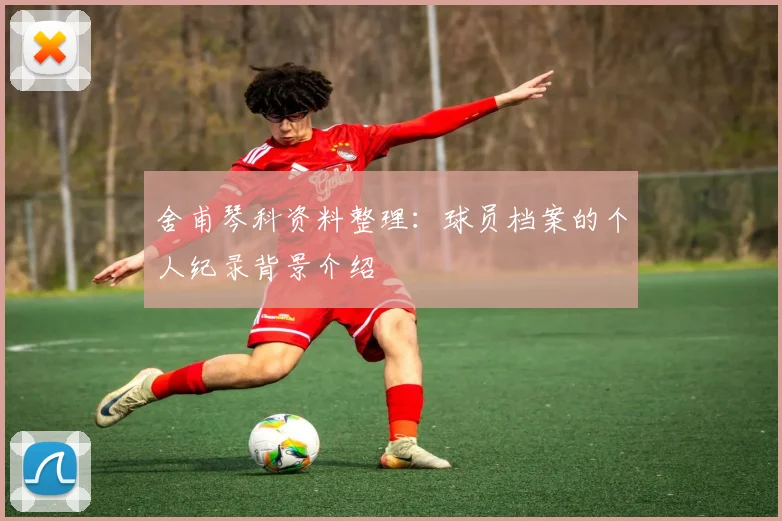 舍甫琴科资料整理:球员档案的个人纪录背景介绍