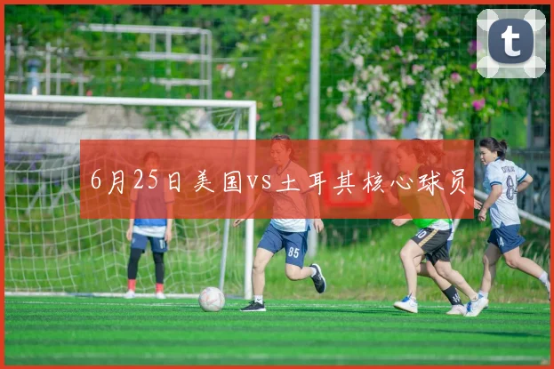 6月25日美国vs土耳其核心球员