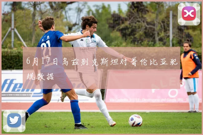 6月17日乌兹别克斯坦对哥伦比亚犯规数据
